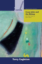 Crazy John and the Bishop, and Other Essays on Irish Culture