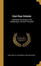 Drei Paar Schuhe: Lebensbild Mit Gesang in Drei Abtheilungen Und Einem Vorspiele