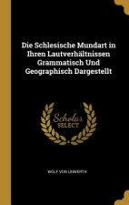 Die Schlesische Mundart in Ihren Lautverhältnissen Grammatisch Und Geographisch Dargestellt