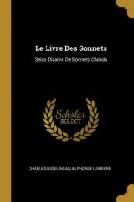 Le Livre Des Sonnets: Seize Dizains De Sonnets Choisis