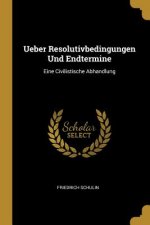 Ueber Resolutivbedingungen Und Endtermine: Eine Civilistische Abhandlung