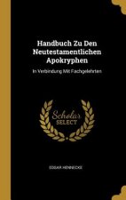 Handbuch Zu Den Neutestamentlichen Apokryphen: In Verbindung Mit Fachgelehrten