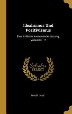 Idealismus Und Positivismus: Eine Kritische Auseinandersetzung, Volumes 1-2