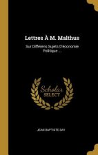 Lettres ? M. Malthus: Sur Différens Sujets D'économie Politique ...