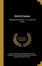 Dits Et Contes: Baudouin De Condé. - V. 2-3. Jean De Condé