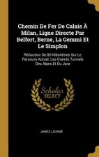 Chemin De Fer De Calais ? Milan, Ligne Directe Par Belfort, Berne, La Gemmi Et Le Simplon: Réduction De 80 Kilom?tres Sur Le Parcours Actuel. Les Gran