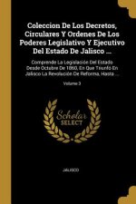 Coleccion De Los Decretos, Circulares Y Ordenes De Los Poderes Legislativo Y Ejecutivo Del Estado De Jalisco ...: Comprende La Legislación Del Estado