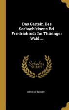 Das Gestein Des Seebachfelsens Bei Friedrichroda Im Thüringer Wald ...