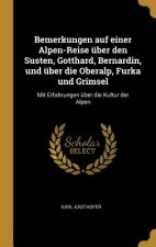 Bemerkungen Auf Einer Alpen-Reise Über Den Susten, Gotthard, Bernardin, Und Über Die Oberalp, Furka Und Grimsel: Mit Erfahrungen Über Die Kultur Der A