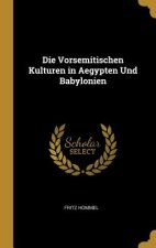 Die Vorsemitischen Kulturen in Aegypten Und Babylonien