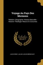 Voyage Au Pays Des Mormons: Relation--Géographie--Histoire Naturelle--Histoire--Theólogie--Moeurs Et Coutumes