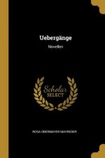 Uebergänge: Novellen