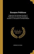 Ensayos Políticos: Coleccion De Artículos Escritos Y Publicados En Diversos Periódicos, Durante La Usurpacion De Maximiliano