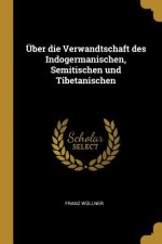 Über Die Verwandtschaft Des Indogermanischen, Semitischen Und Tibetanischen