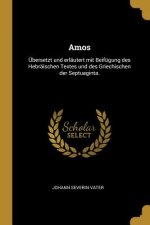Amos: Übersetzt Und Erläutert Mit Beifügung Des Hebräischen Textes Und Des Griechischen Der Septuaginta.