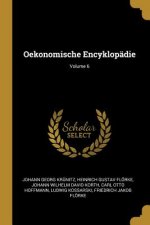Oekonomische Encyklopädie; Volume 6
