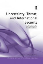 Uncertainty, Threat, and International Security