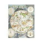 Celestial Planisphere