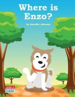Where Is Enzo?
