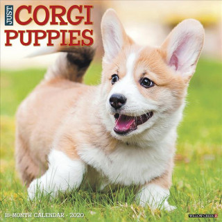 Just Corgi Puppies 2020 Wall Calendar (Dog Breed Calendar)