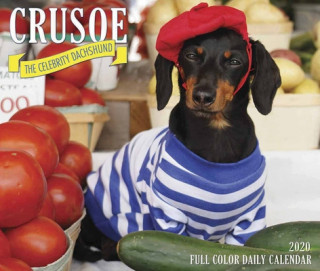 Crusoe the Celebrity Dachshund 2020 Box Calendar (Dog Breed Calendar)