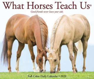 What Horses Teach Us 2020 Box Calendar