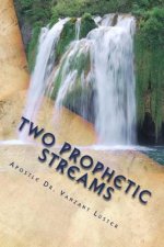 Two Prophetic Streams: ''the Prophet and the Seer''