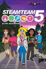 The Beginning: (steamteam 5 Main Series Book 1)