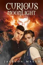 Curious Moonlight
