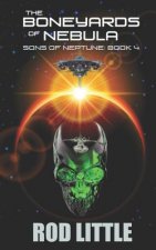 The Boneyards of Nebula