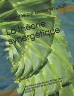 La théorie synergétique: Une théorie pseudoscientifique dont l'ambition était se substituer ? la Relativité