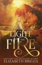 Light The Fire: A Reverse Harem Fantasy
