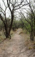 How To Live: Change your path: Learn from my mistakes