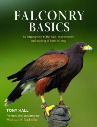 Falconry Basics