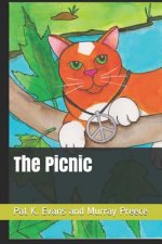 The Picnic