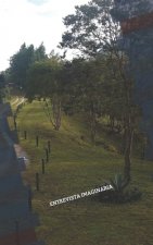 Entrevista Imaginaria