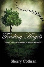 Tending Angels: Stories From the Frontlines of Heaven and Earth