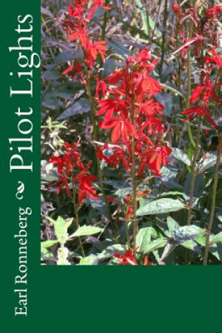 Pilot Lights