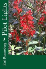 Pilot Lights