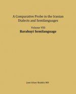 Barahuyi Semilanguage: A Comparative Probe in the Iranian Dialects and Semi-Languages