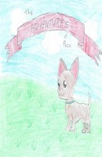 The Adventures of Paco: Paco is so Excited