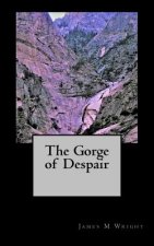 The Gorge of Despair