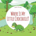 Where Is My Little Crocodile?