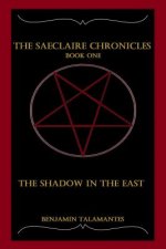 The Saeclaire Chronicles: The Shadow in the East