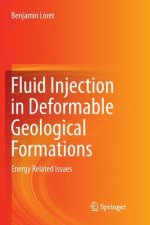 Fluid Injection in Deformable Geological Formations