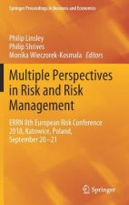 Multiple Perspectives in Risk and Risk Management