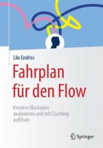 Fahrplan Fur Den Flow