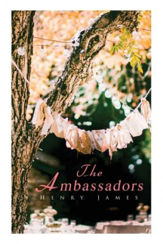 Ambassadors