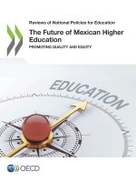 future of Mexican higher education