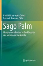 Sago Palm